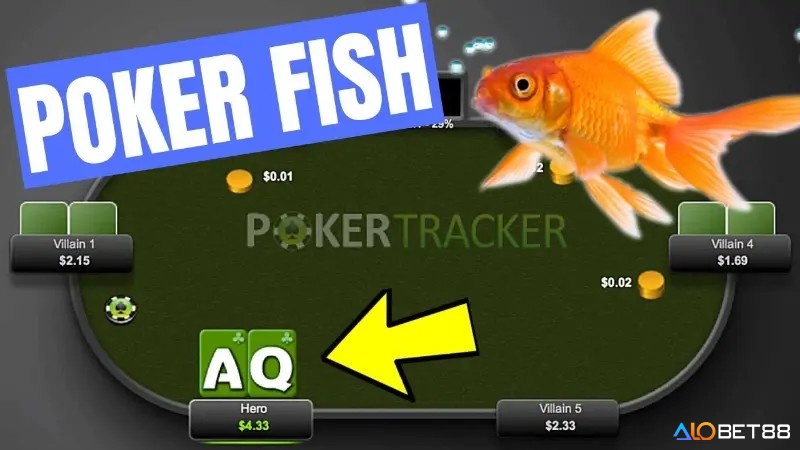 Fish trong Poker là những người chơi yếu và thiếu kinh nghiệm trong trò này